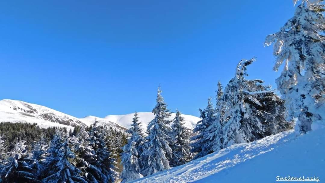 Stara Planina Vila Vesela Kuca Jalovik Izvor Exterior photo