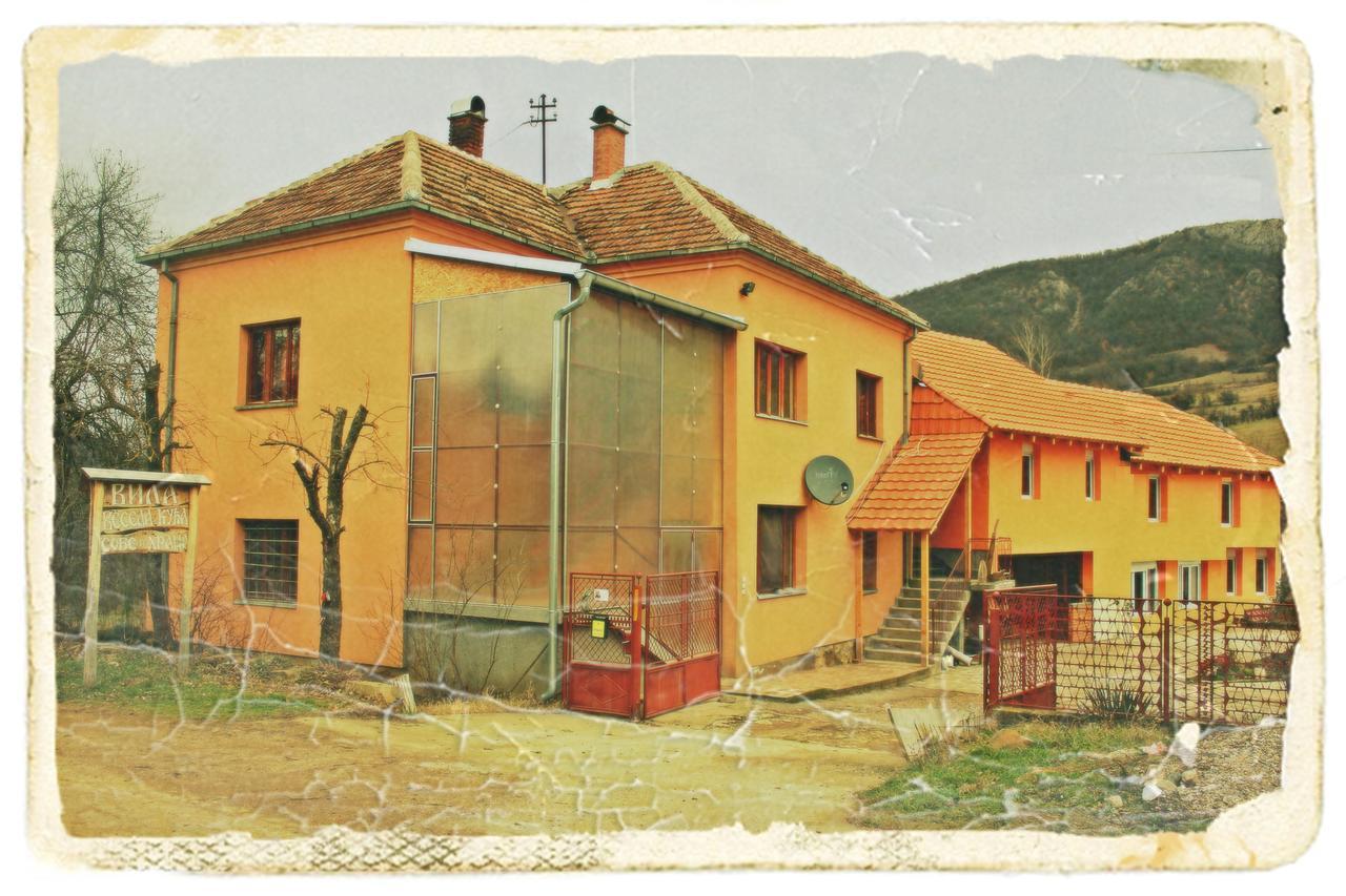 Stara Planina Vila Vesela Kuca Jalovik Izvor Exterior photo